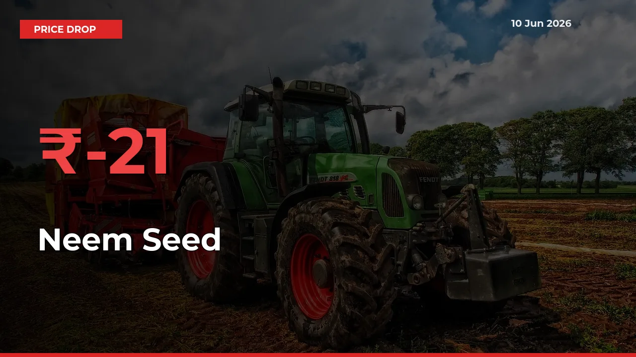 Neem Seed Prices Drop 21.13% – June 10 Market Update from Mandis