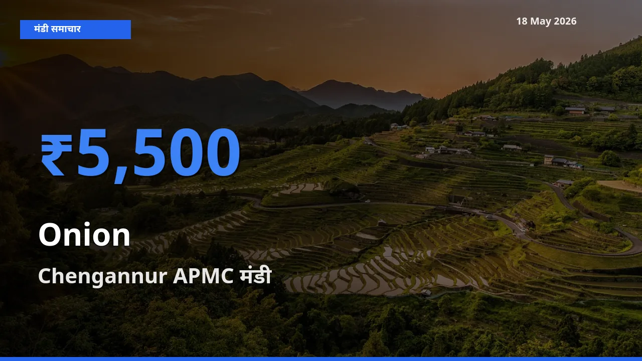 किसानों की पसंद बना Chengannur APMC, प्याज के सबसे अच्छे दाम