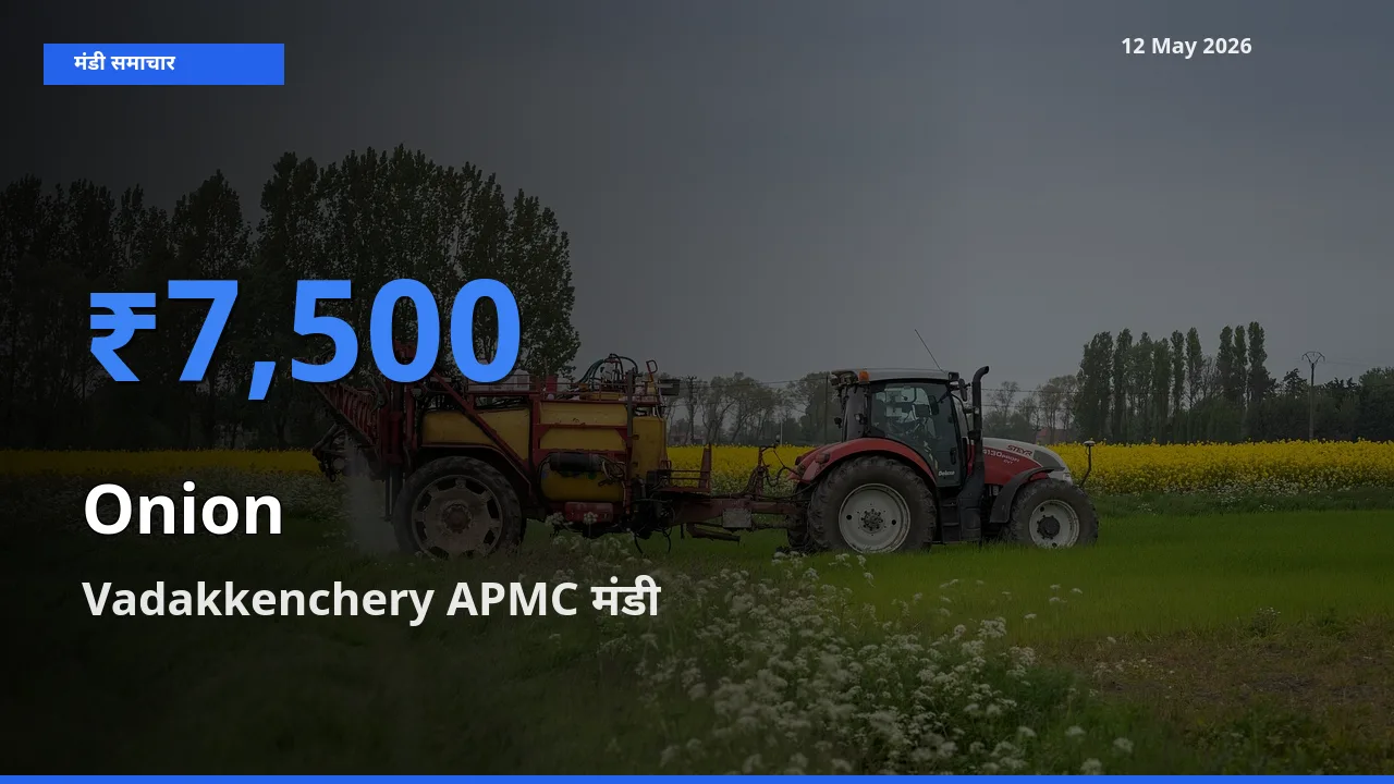 Vadakkenchery APMC मंडी में आज प्याज के सबसे ऊँचे दाम दर्ज