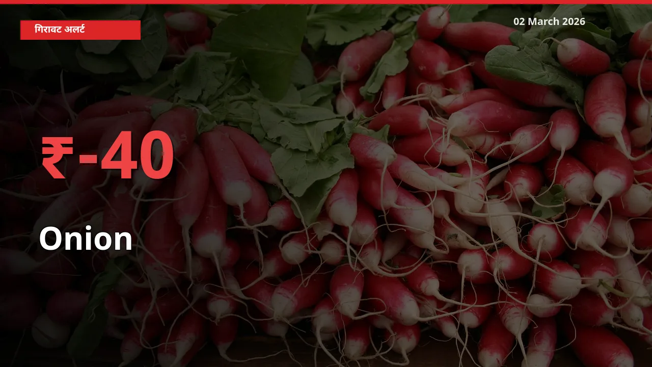 Onion 40.02% गिरा, मंडी