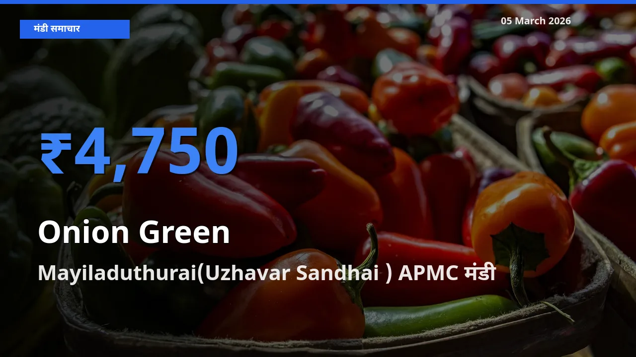 किसानों की पसंद बना Mayiladuthurai(Uzhavar Sandhai ) APMC, प्याज हरा के सबसे अच्छे दाम