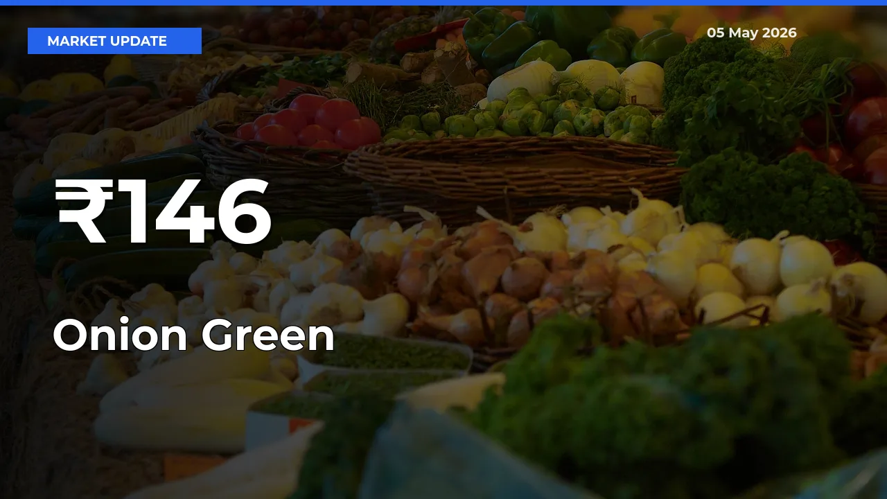 Onion Green Mandi Trend Today: Prices Shift Across Multiple Markets