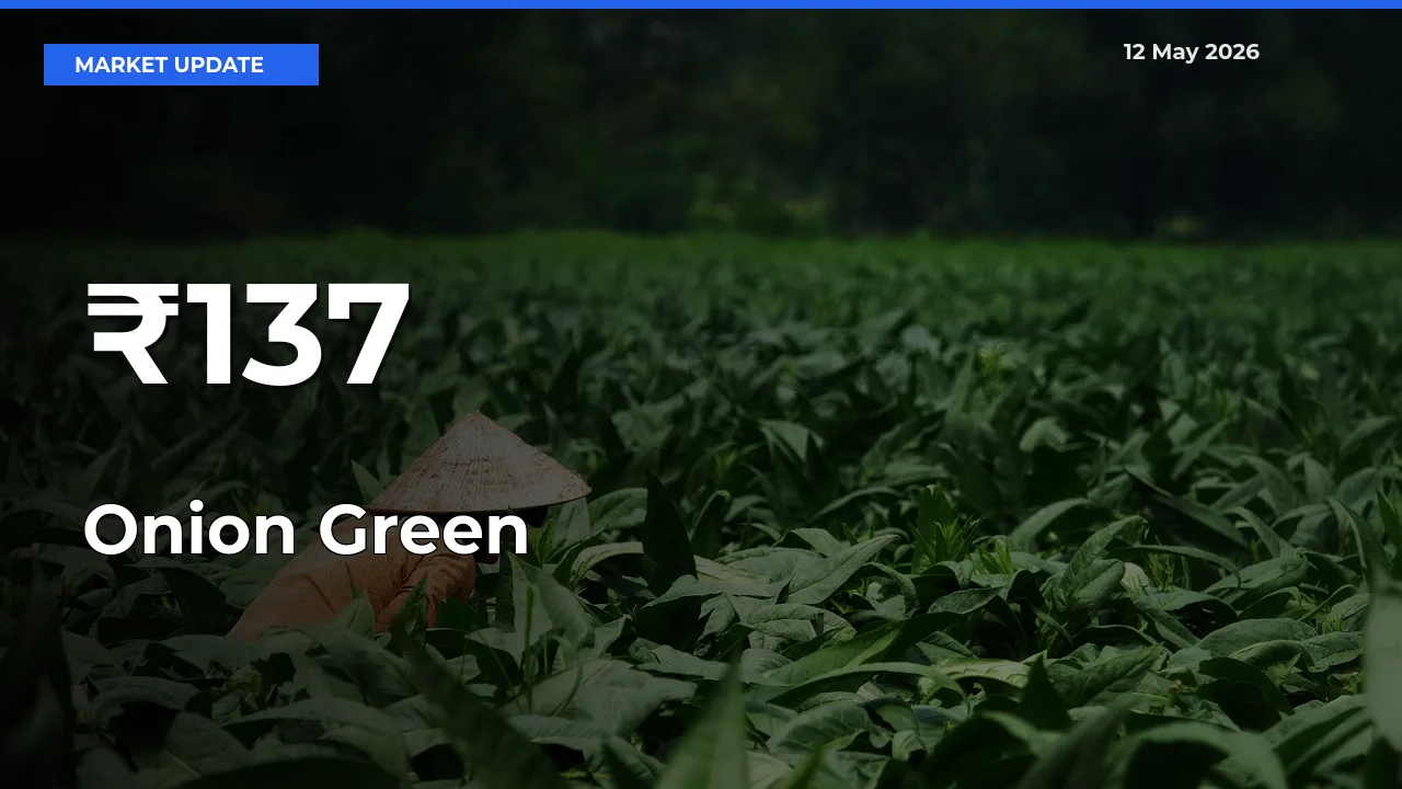 Why Onion Green Prices Are Moving Across Multiple Mandis Today