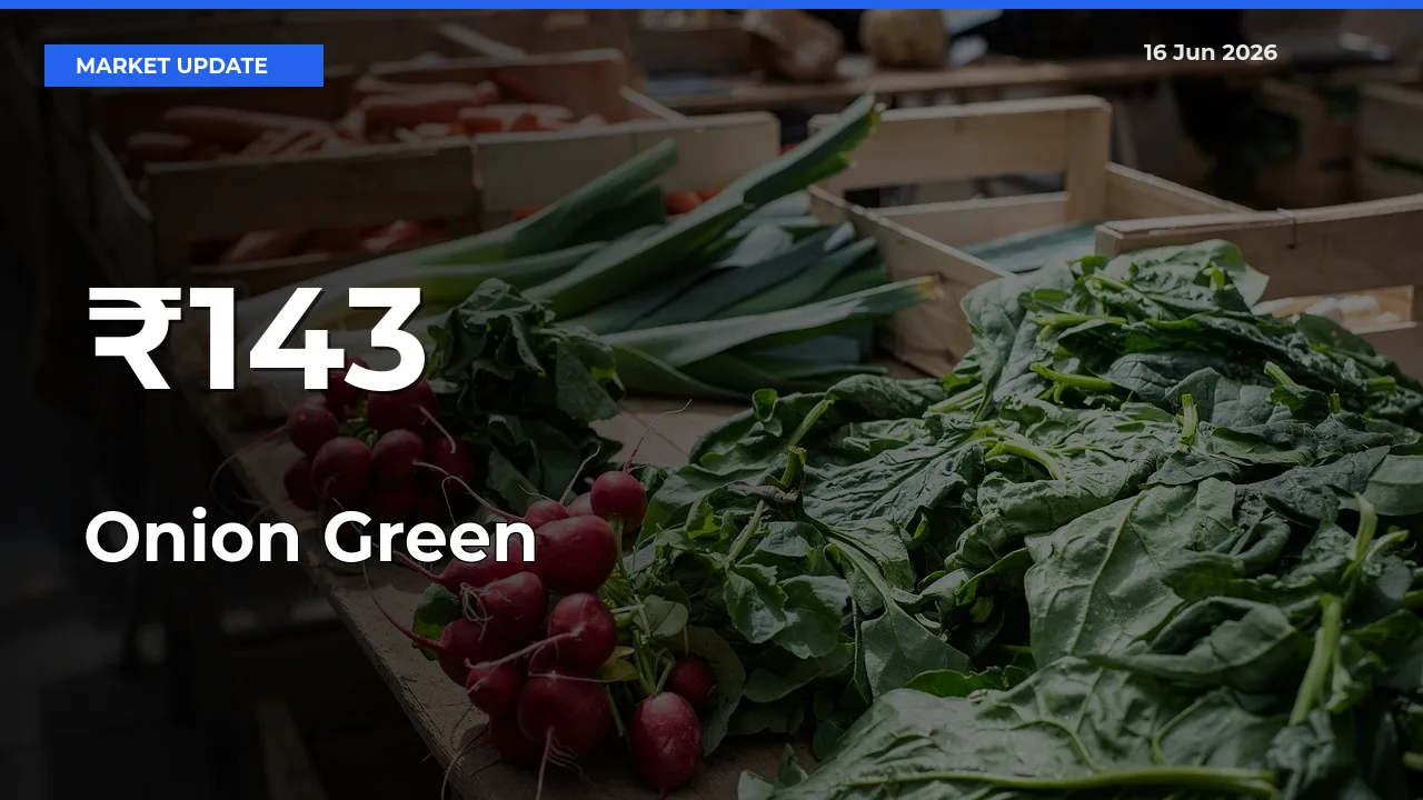 Why Onion Green Prices Are Moving Across Multiple Mandis Today