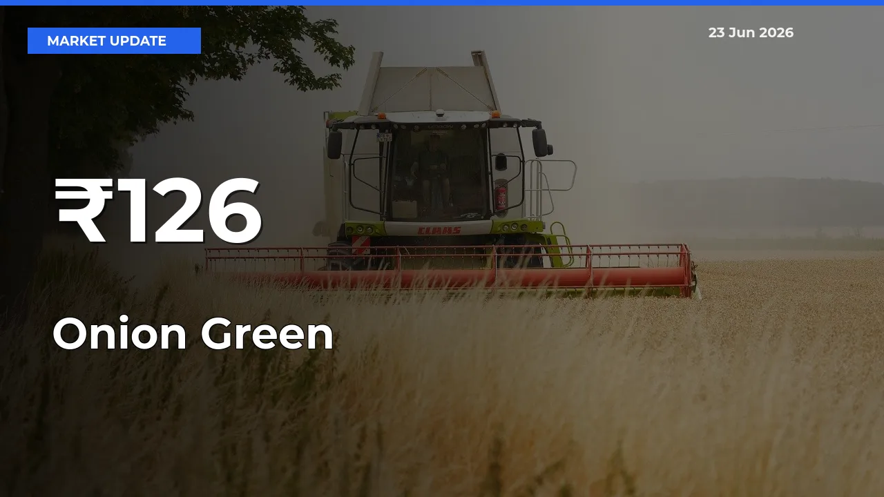 Strong Trend in Onion Green Rates Across Multiple Mandis – What It Means for Traders