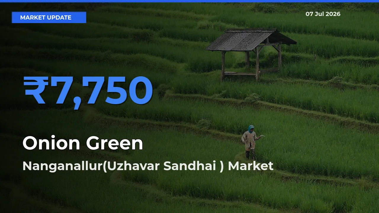 Nanganallur(Uzhavar Sandhai ) Tops Onion Green Rates – July 07 Market Update