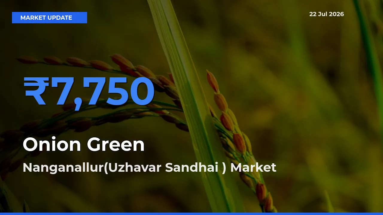 Nanganallur(Uzhavar Sandhai ) Leads as Top Mandi for Onion Green Prices