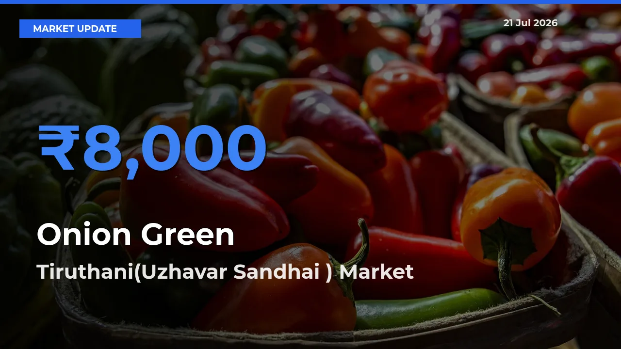 Top Performer! Tiruthani(Uzhavar Sandhai ) Offers Best Onion Green Price Today