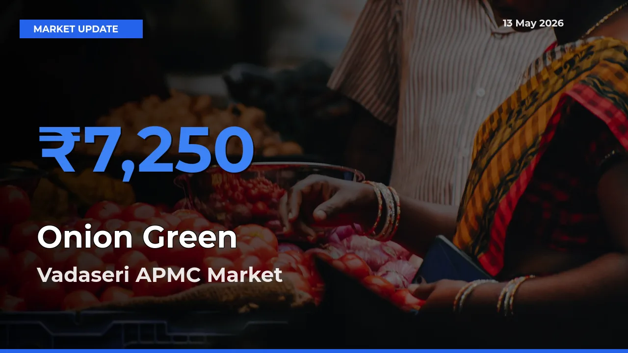 Vadaseri APMC Leads as Top Mandi for Onion Green Prices