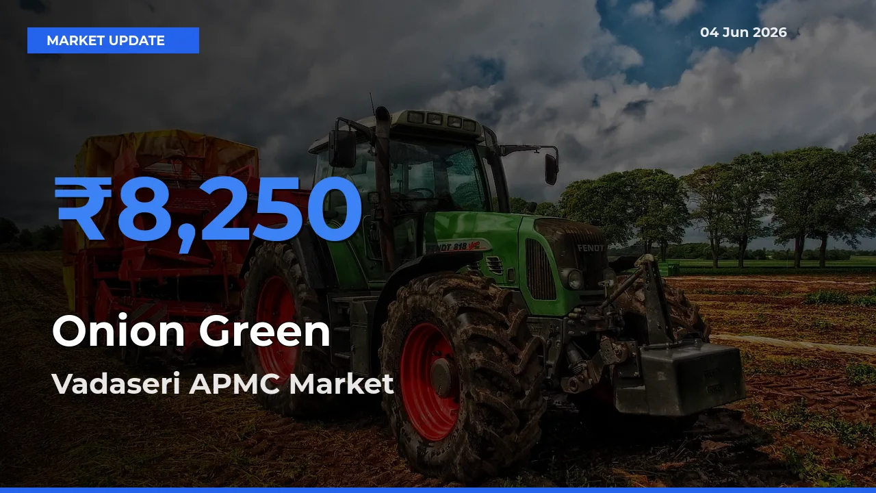 Vadaseri APMC Leads as Top Mandi for Onion Green Prices
