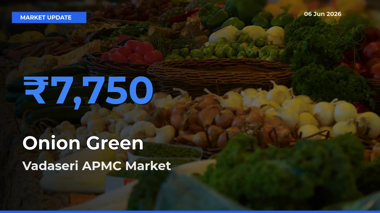 Onion Green Mandi Rate Today: Vadaseri APMC Tops the List