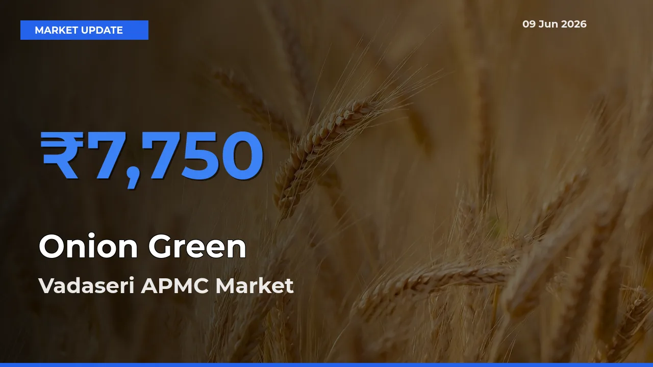 Vadaseri APMC Leads as Top Mandi for Onion Green Prices