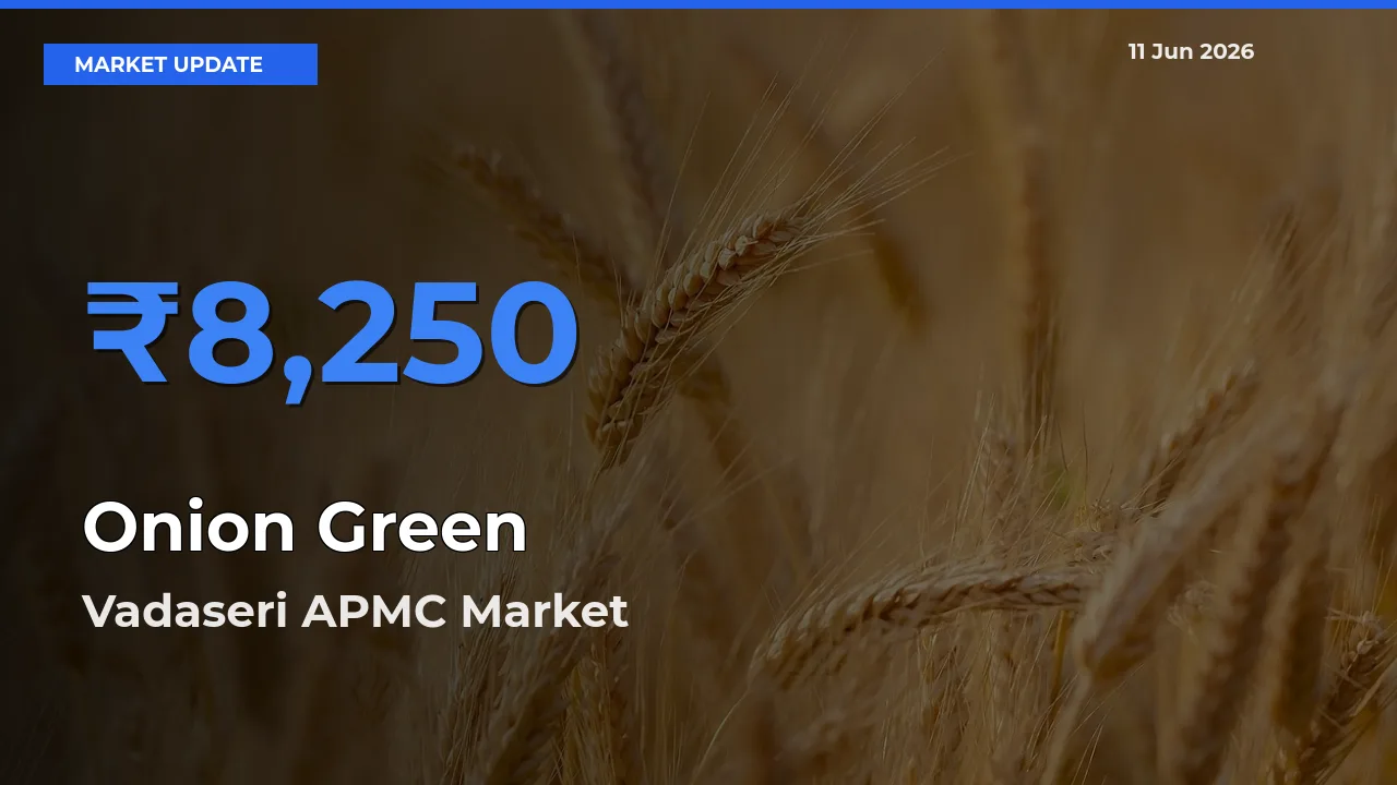 Vadaseri APMC Records Highest ₹8,250 Rate for Onion Green