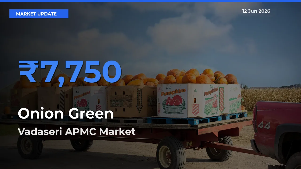 Onion Green Mandi Rate Today: Vadaseri APMC Tops the List