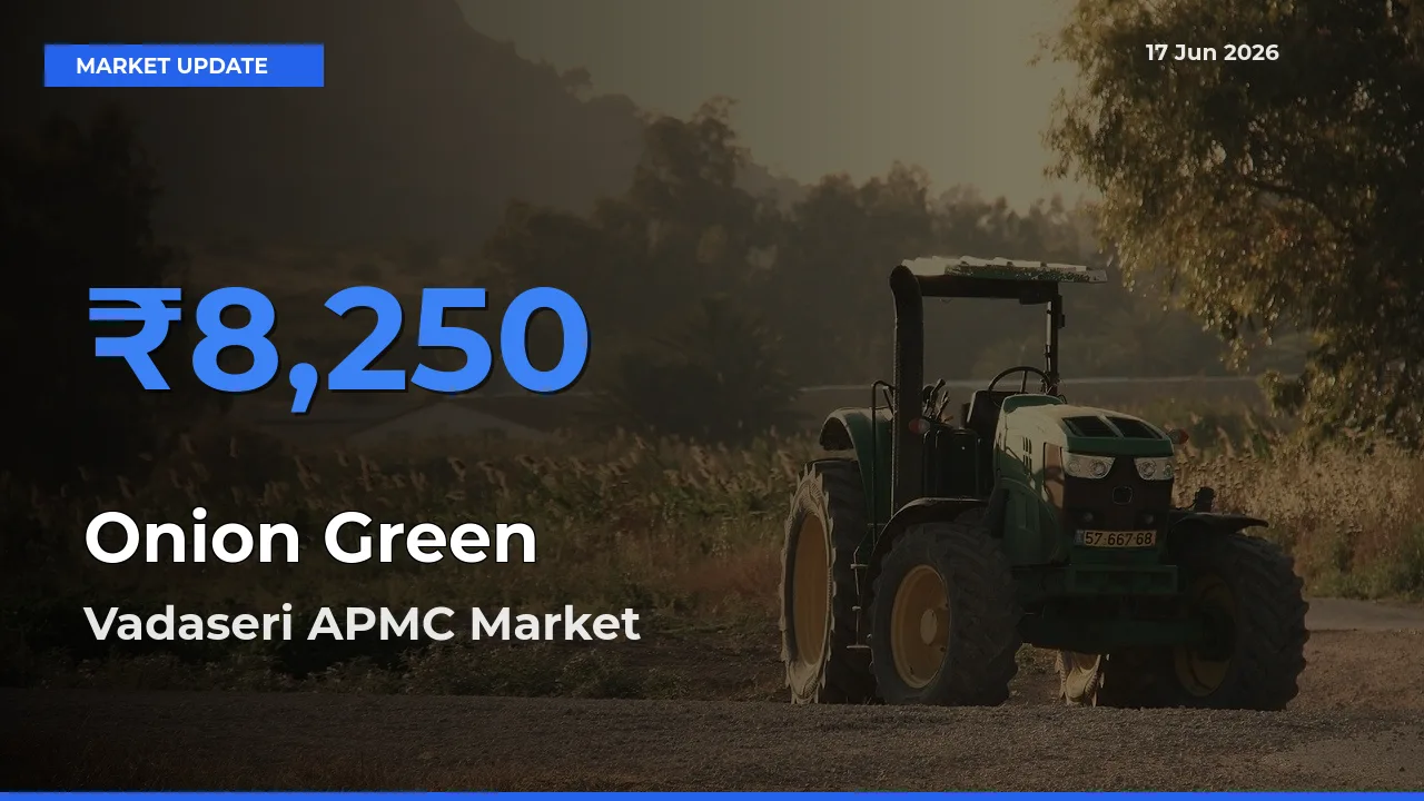Onion Green Mandi Rate Today: Vadaseri APMC Tops the List
