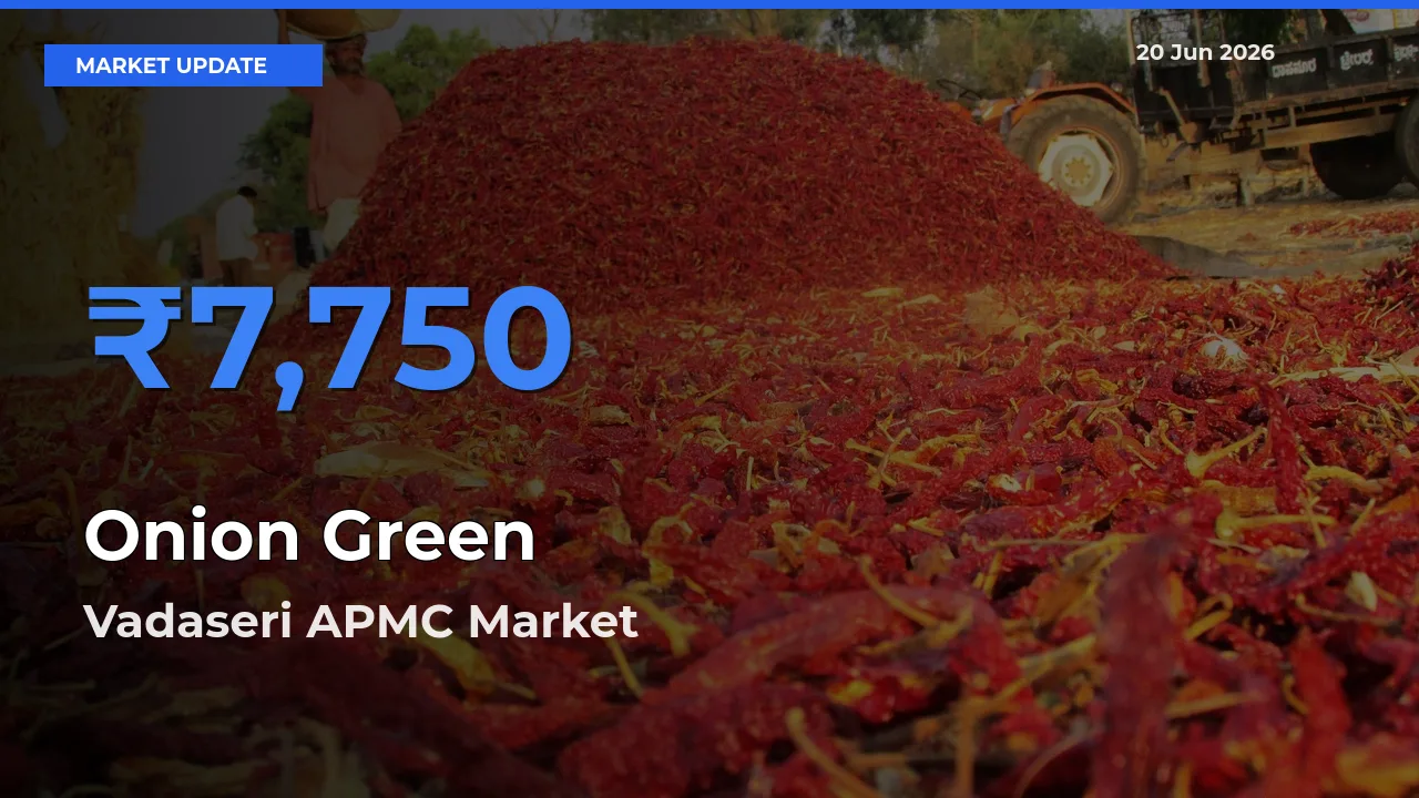 Market Watch: Vadaseri APMC Becomes Top Mandi for Onion Green