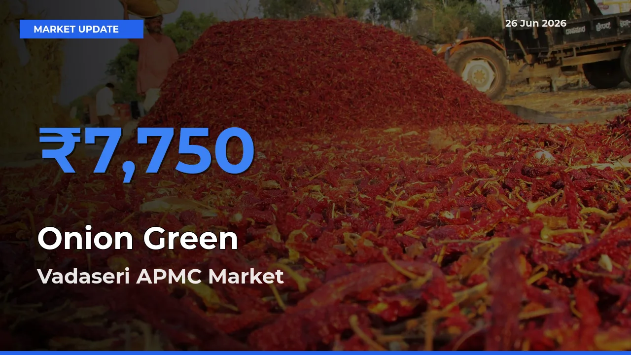 Vadaseri APMC Leads as Top Mandi for Onion Green Prices