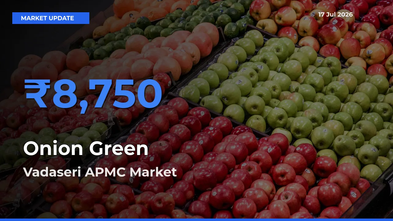 Market Watch: Vadaseri APMC Becomes Top Mandi for Onion Green