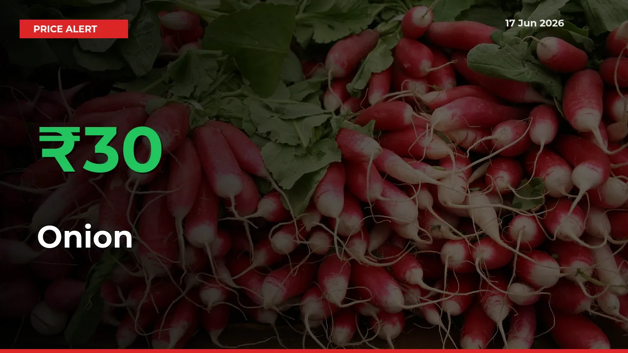 Farmers Cheer as Onion Prices Surge 29.7% in Local Mandis