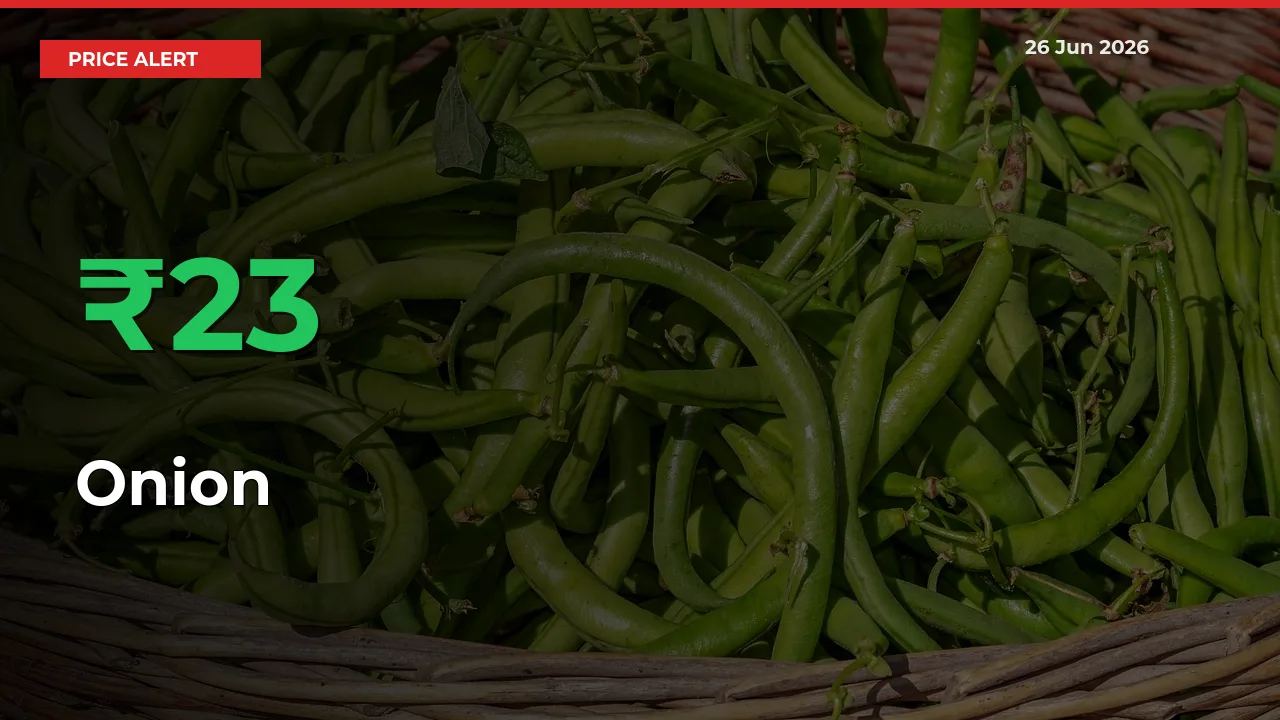 Onion Mandi Rate Today: Prices Jump 22.93% at Market