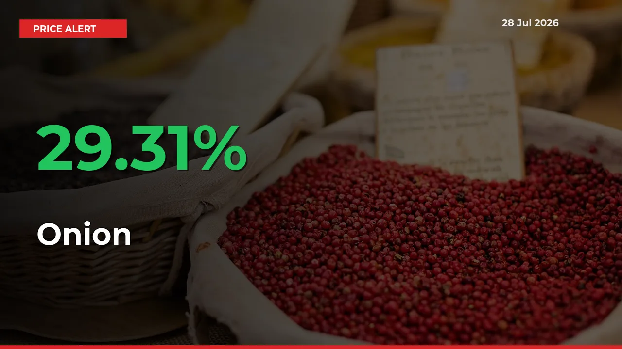 Why Onion Prices Rose 29.31% in a Day at Mandis