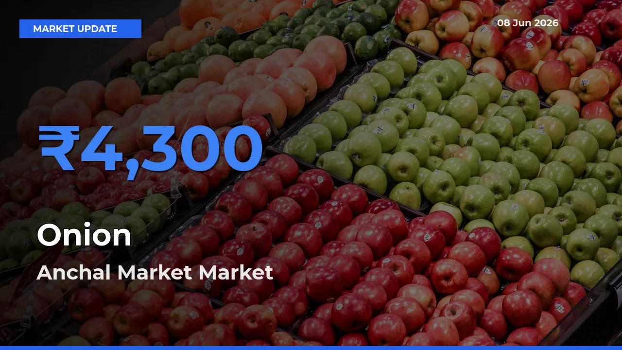 Onion Mandi Rate Today: Anchal Market Tops the List