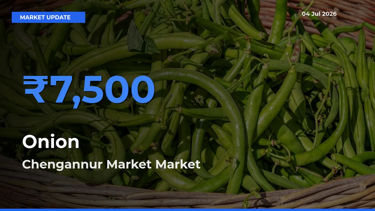 Chengannur Market Tops Onion Rates – July 04 Market Update