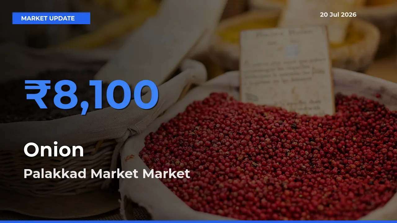 Palakkad Market Tops Onion Mandi Rates Today