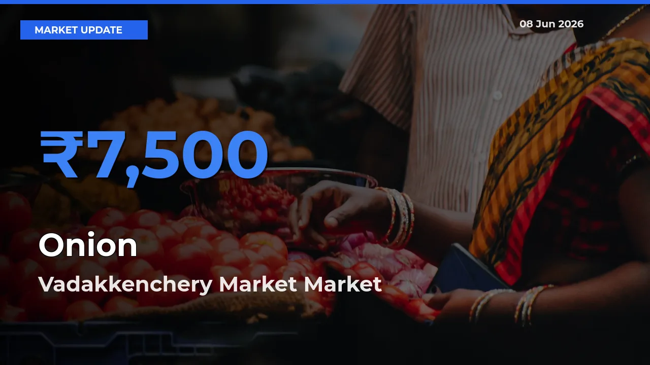 Market Watch: Vadakkenchery Market Becomes Top Mandi for Onion