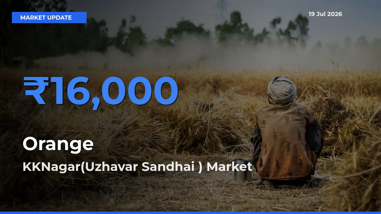 KKNagar(Uzhavar Sandhai ) Tops Orange Rates – July 19 Market Update