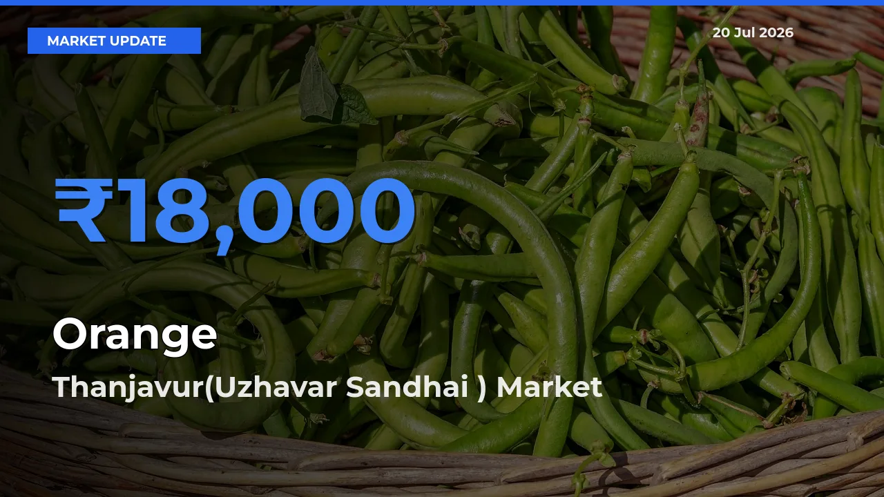 Thanjavur(Uzhavar Sandhai ) Tops Orange Rates – July 20 Market Update