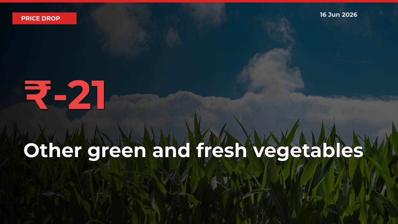 21.43% Drop in Other green and fresh vegetables Prices – Mandi Sees Sudden Fall