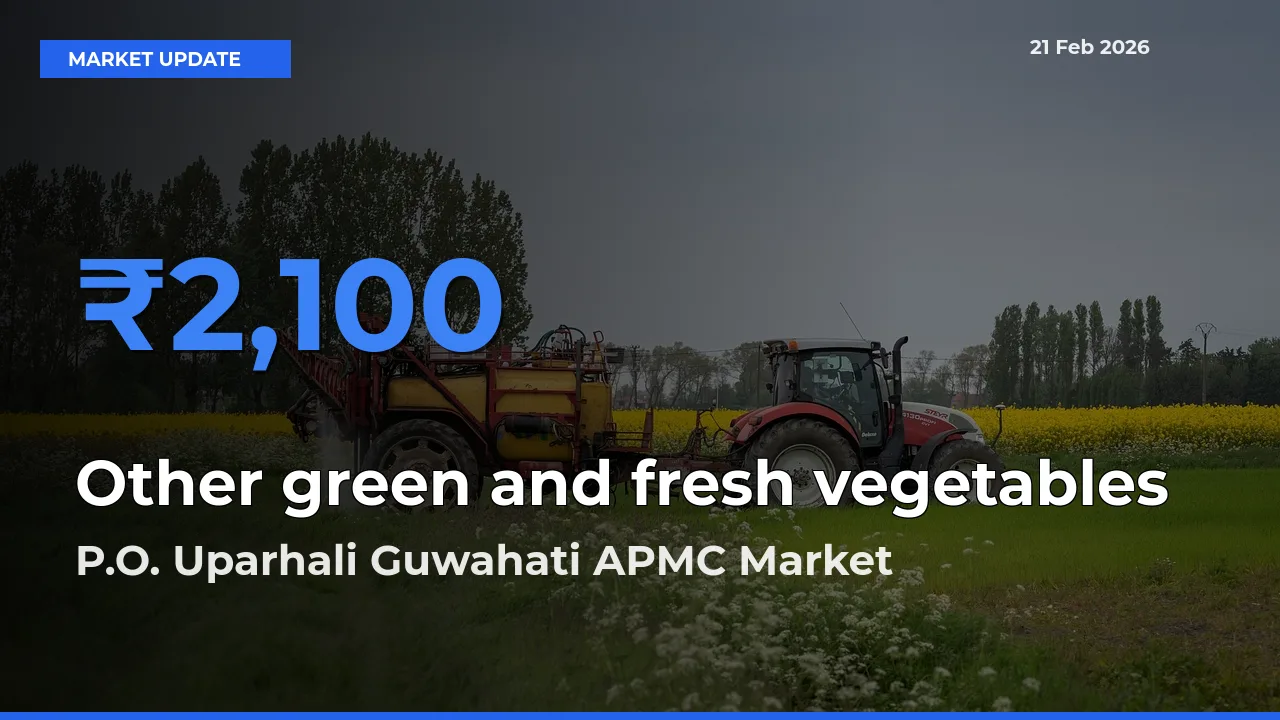 P.O. Uparhali Guwahati APMC Offers ₹2,100 – Highest Other green and fresh vegetables Rate Today