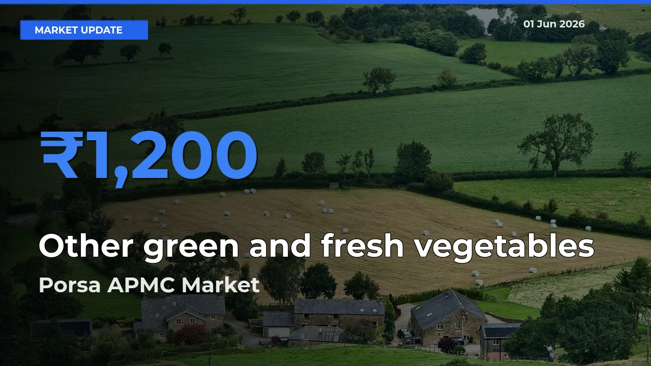 Market Watch: Porsa APMC Becomes Top Mandi for Other green and fresh vegetables