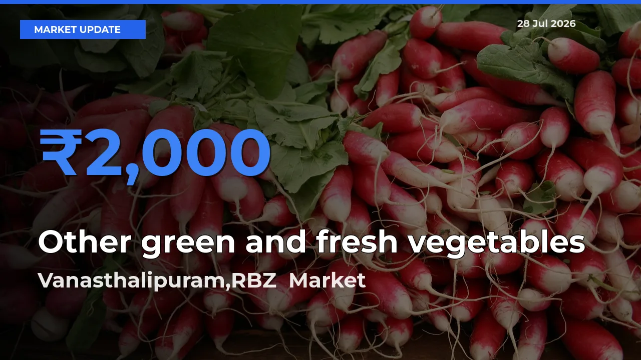 Top Performer! Vanasthalipuram,RBZ, Ranga Reddy, Telangana Offers Best Other green and fresh vegetables Price Today