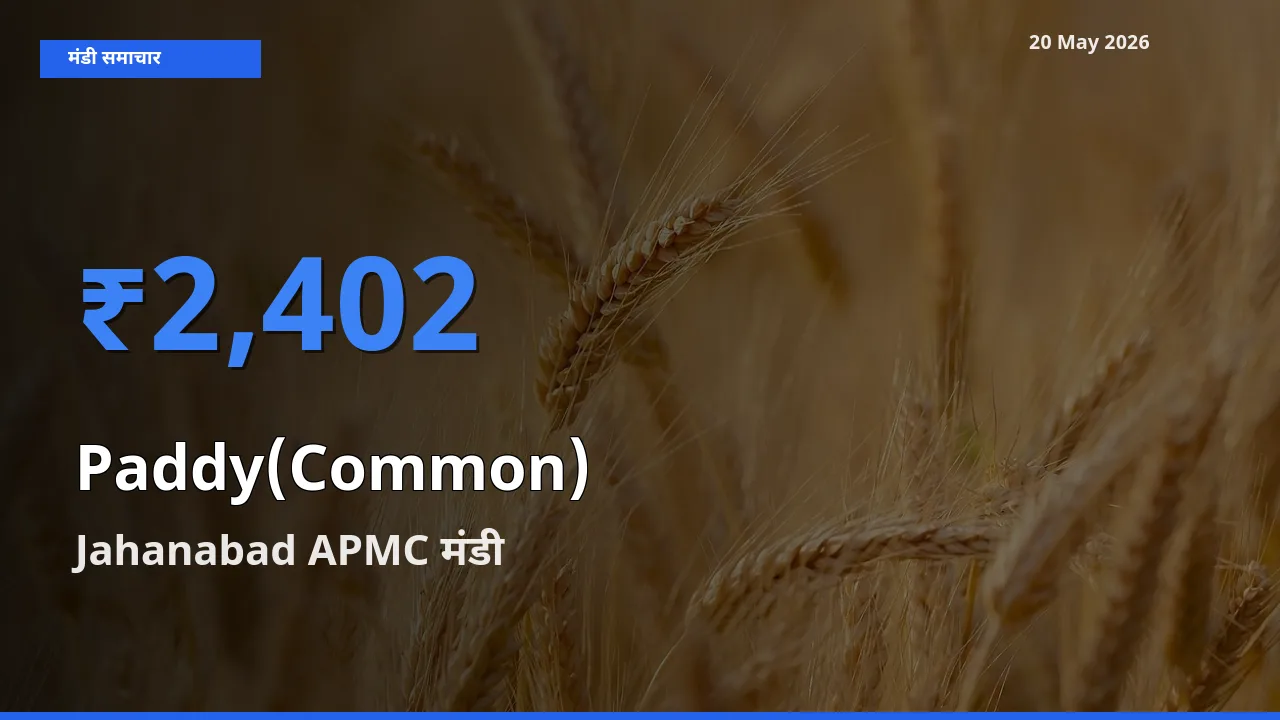 Jahanabad APMC में धान (सामान्य) का आज सबसे ऊँचा भाव