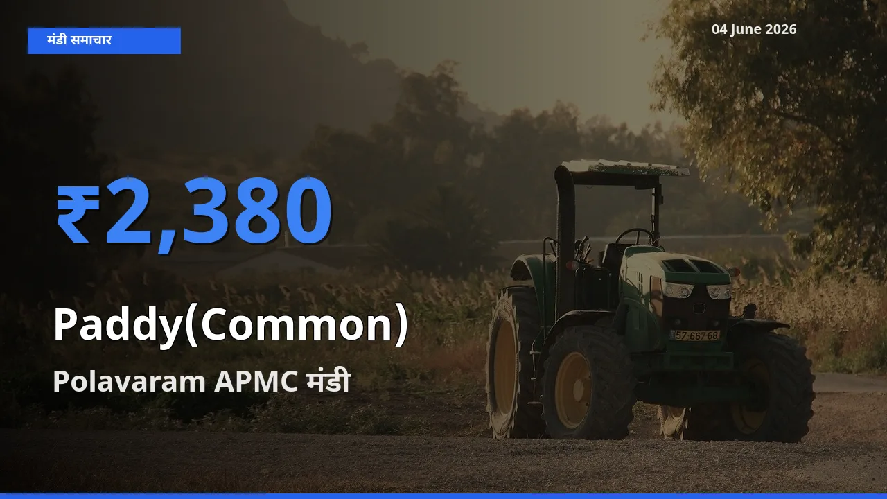 Polavaram APMC में धान (सामान्य) का आज सबसे ऊँचा भाव