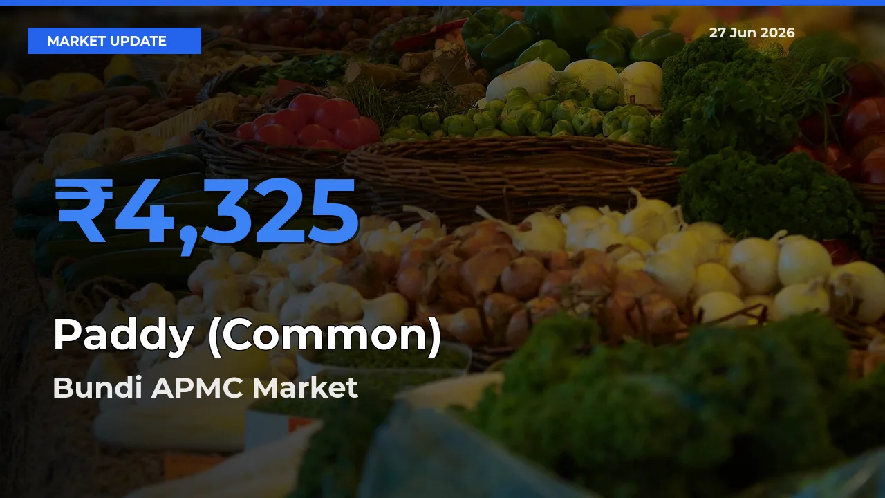 Bundi APMC Offers ₹4,325 – Highest Paddy (Common) Rate Today