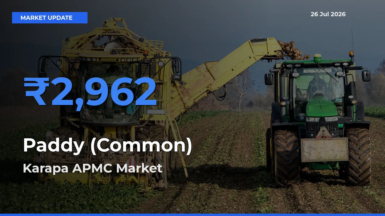 Karapa APMC Tops Paddy (Common) Mandi Rates Today