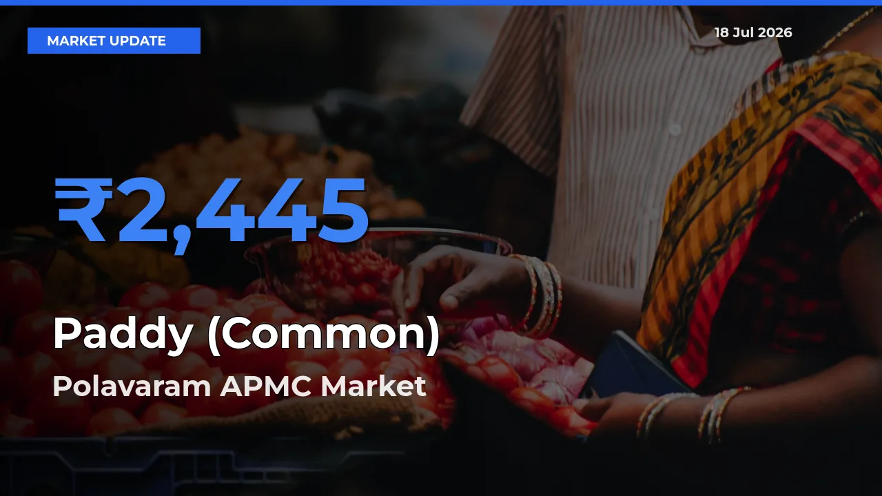 Paddy (Common) Mandi Rate Today: Polavaram APMC Tops the List