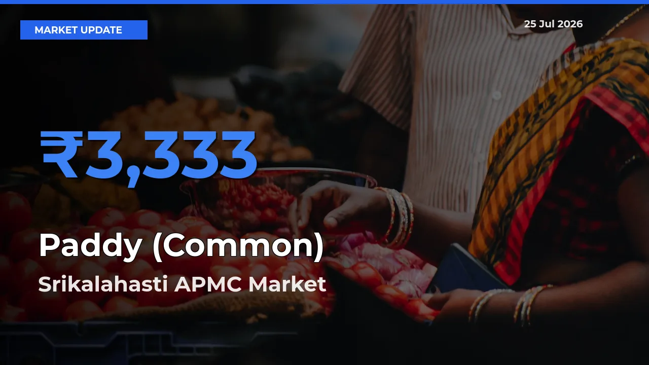 Farmers Prefer Srikalahasti APMC as Paddy (Common) Hits Highest Rate