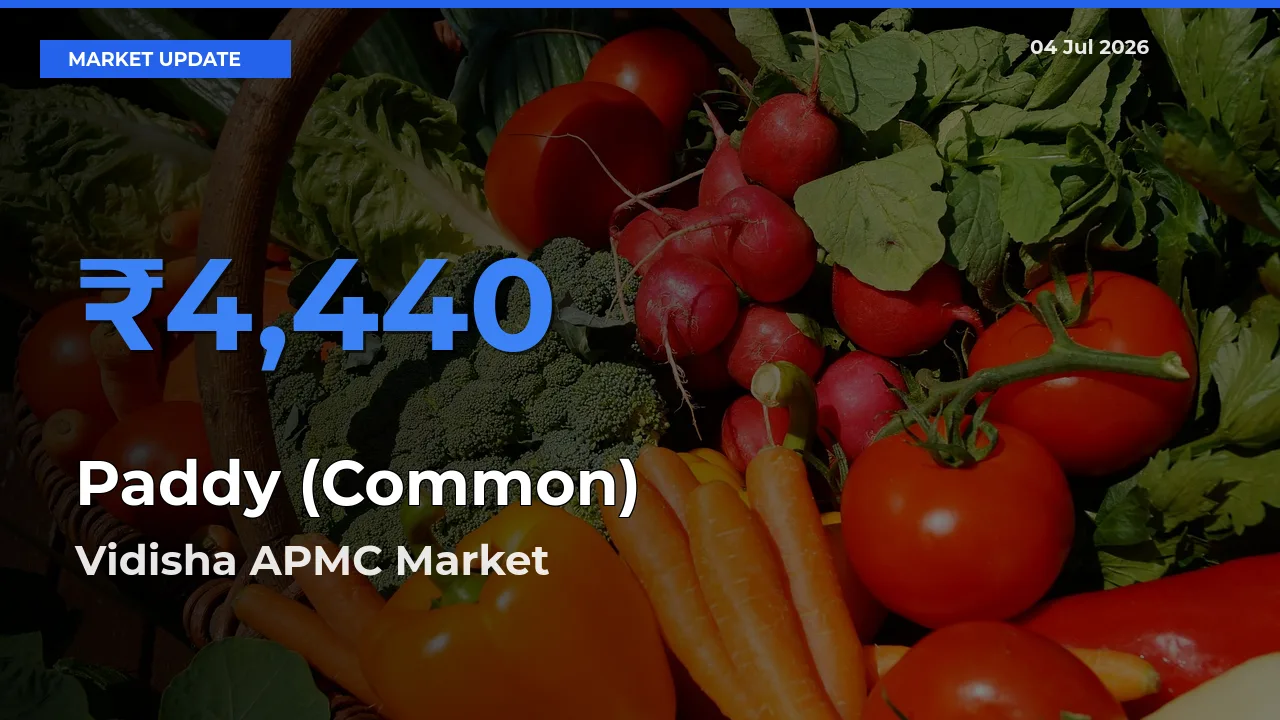 Vidisha APMC Emerges as Top Mandi for Paddy (Common) Prices Today