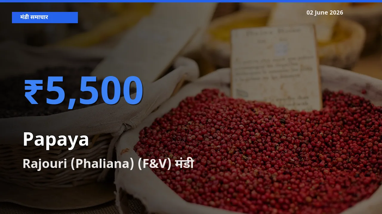 बाज़ार संकेत: Rajouri (Phaliana) (F&V) बना पपीता के लिए आज की टॉप मंडी