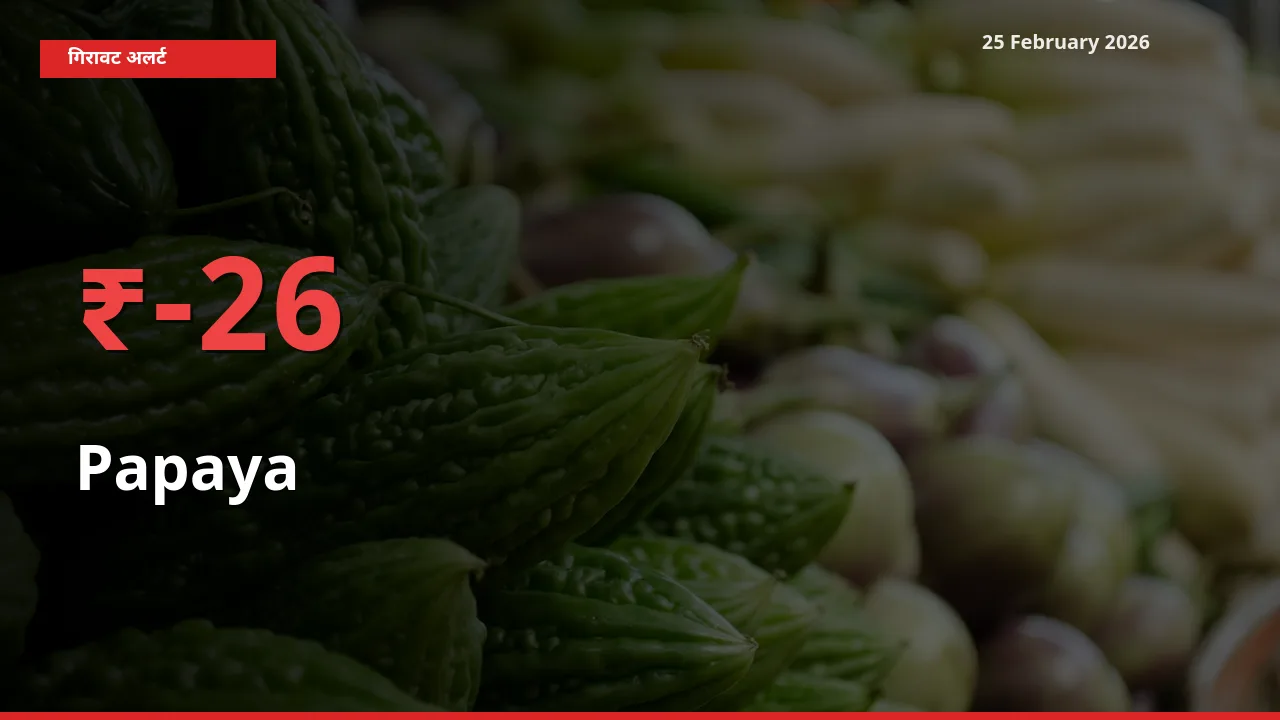 अचानक झटका! मंडी में Papaya के दाम 25.63% टूटे