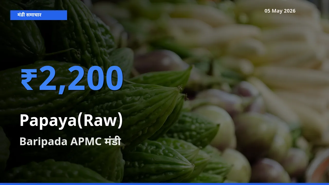 आज पपीता (कच्चा) के सबसे ऊँचे दाम ₹2,200 Baripada APMC मंडी में