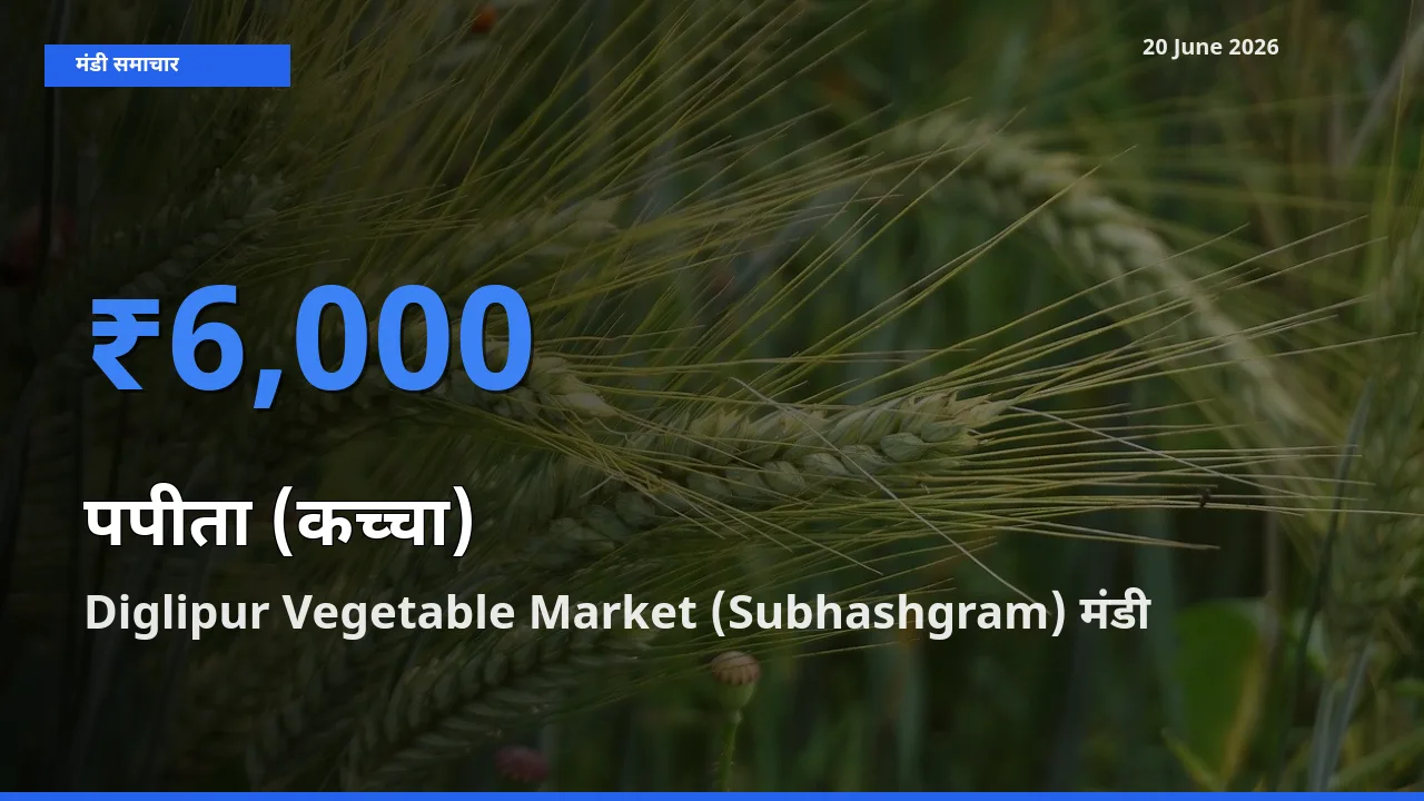 Diglipur Vegetable Market (Subhashgram) मंडी में आज पपीता (कच्चा) के सबसे ऊँचे दाम दर्ज