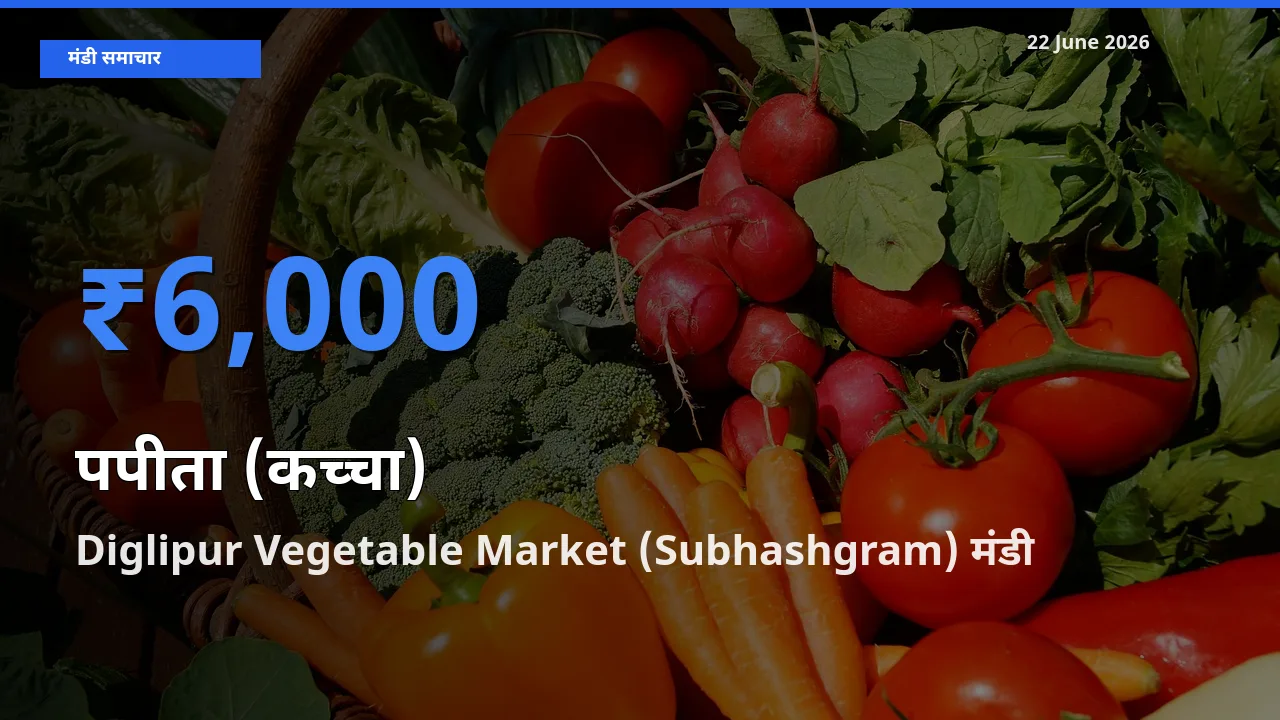 बाज़ार संकेत: Diglipur Vegetable Market (Subhashgram) बना पपीता (कच्चा) के लिए आज की टॉप मंडी