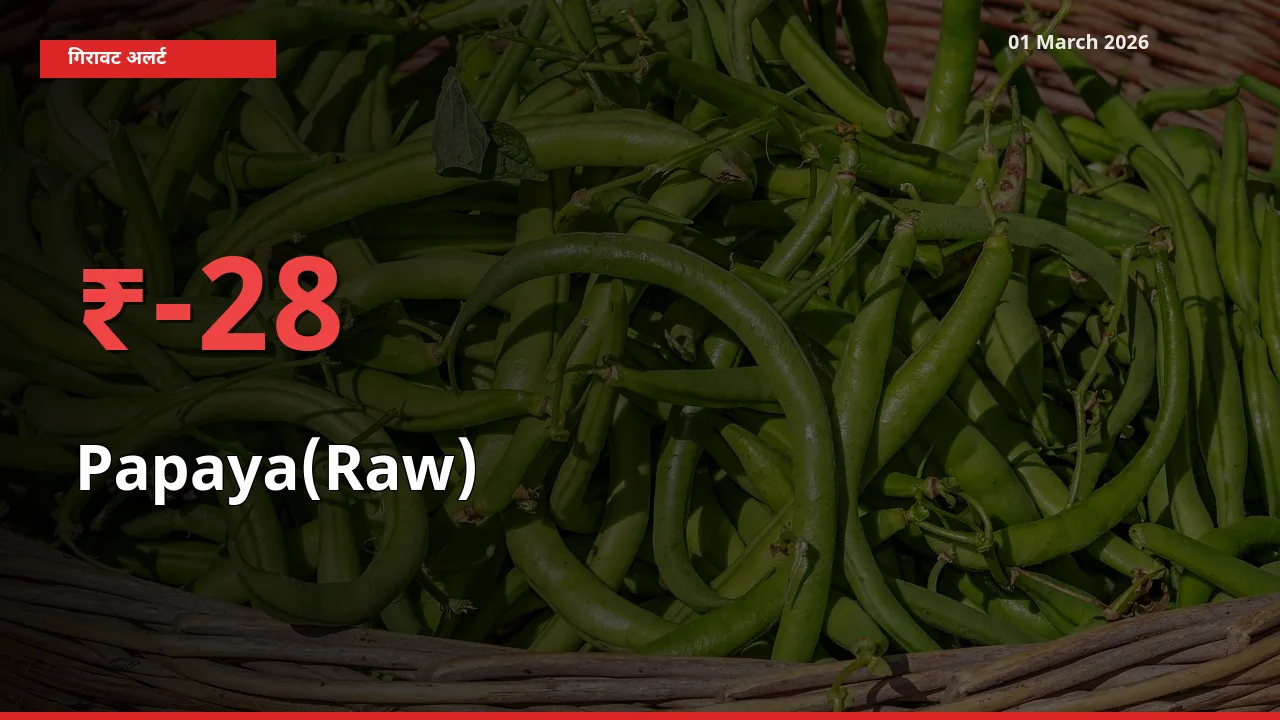 तेज़ गिरावट! मंडी में Papaya(Raw) के दाम 27.52% लुढ़के
