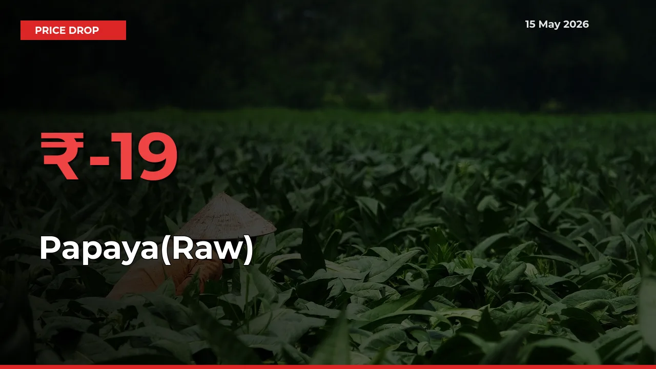 Sharp Fall! Papaya(Raw) Prices Plunge 18.81% in a Day at Key Mandis