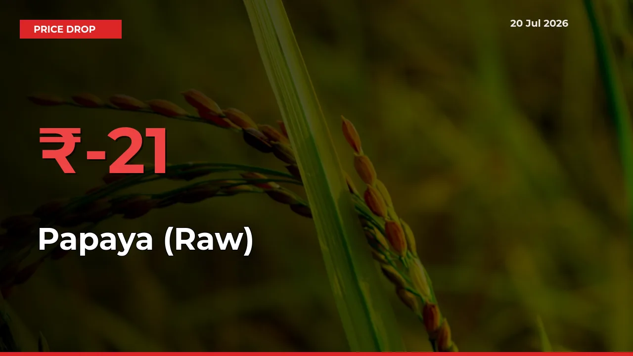 Papaya (Raw) Falls 21.43% at Mandis